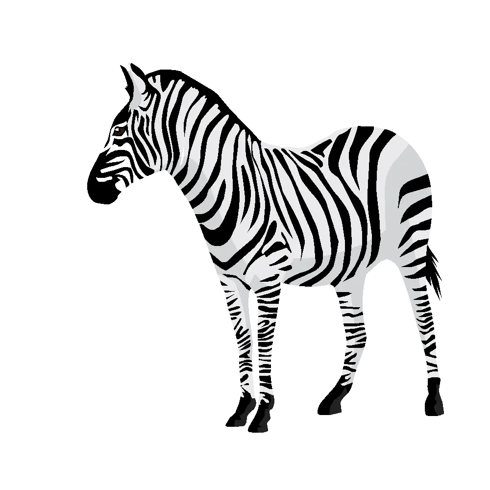 Zebra Illustration with Stripes