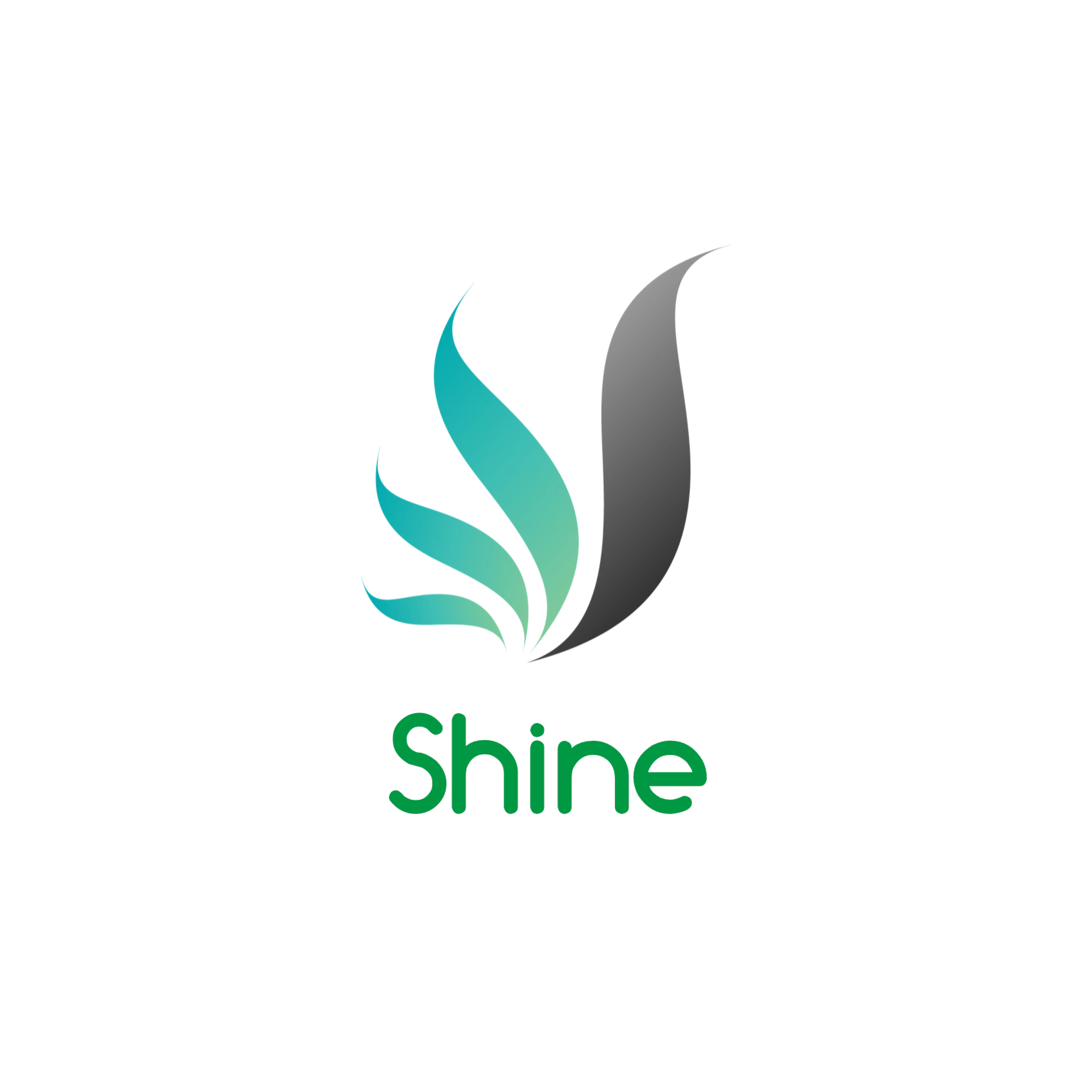 Shine Logo for Brand Identity