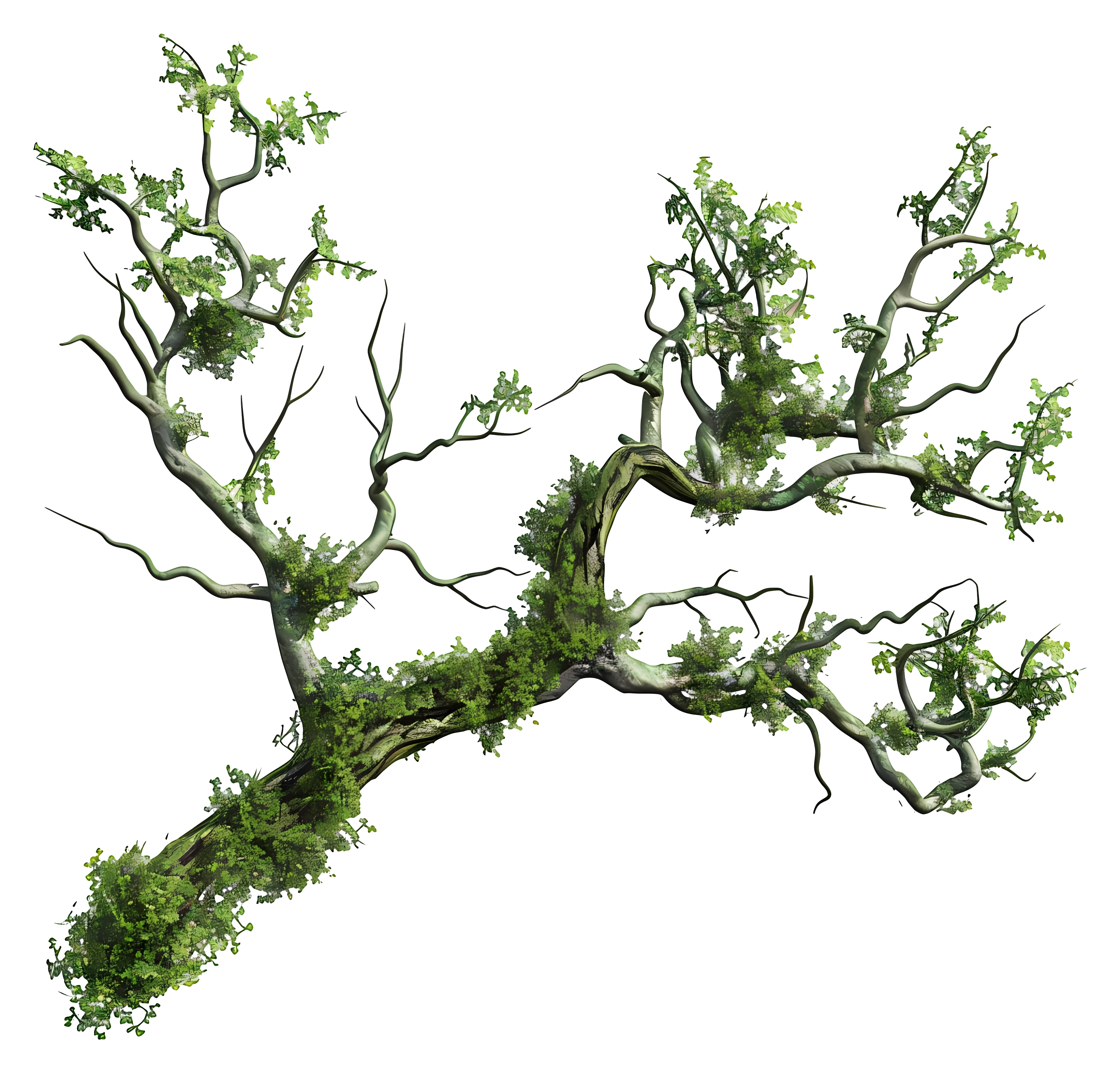 Tree Branch with Green Leaves Illustration