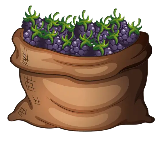 Sack of Blackberries in Cartoon Style