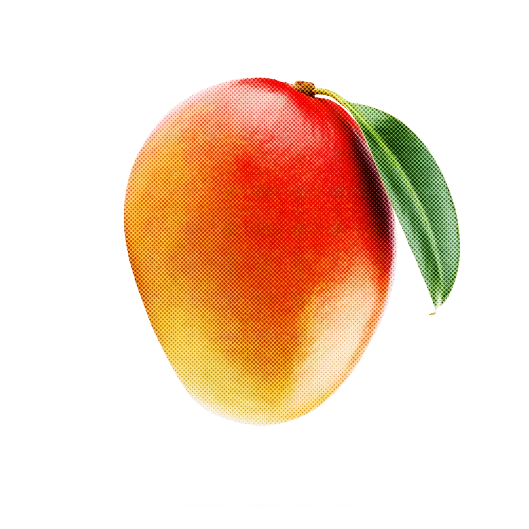 Realistic Illustration of a Mango