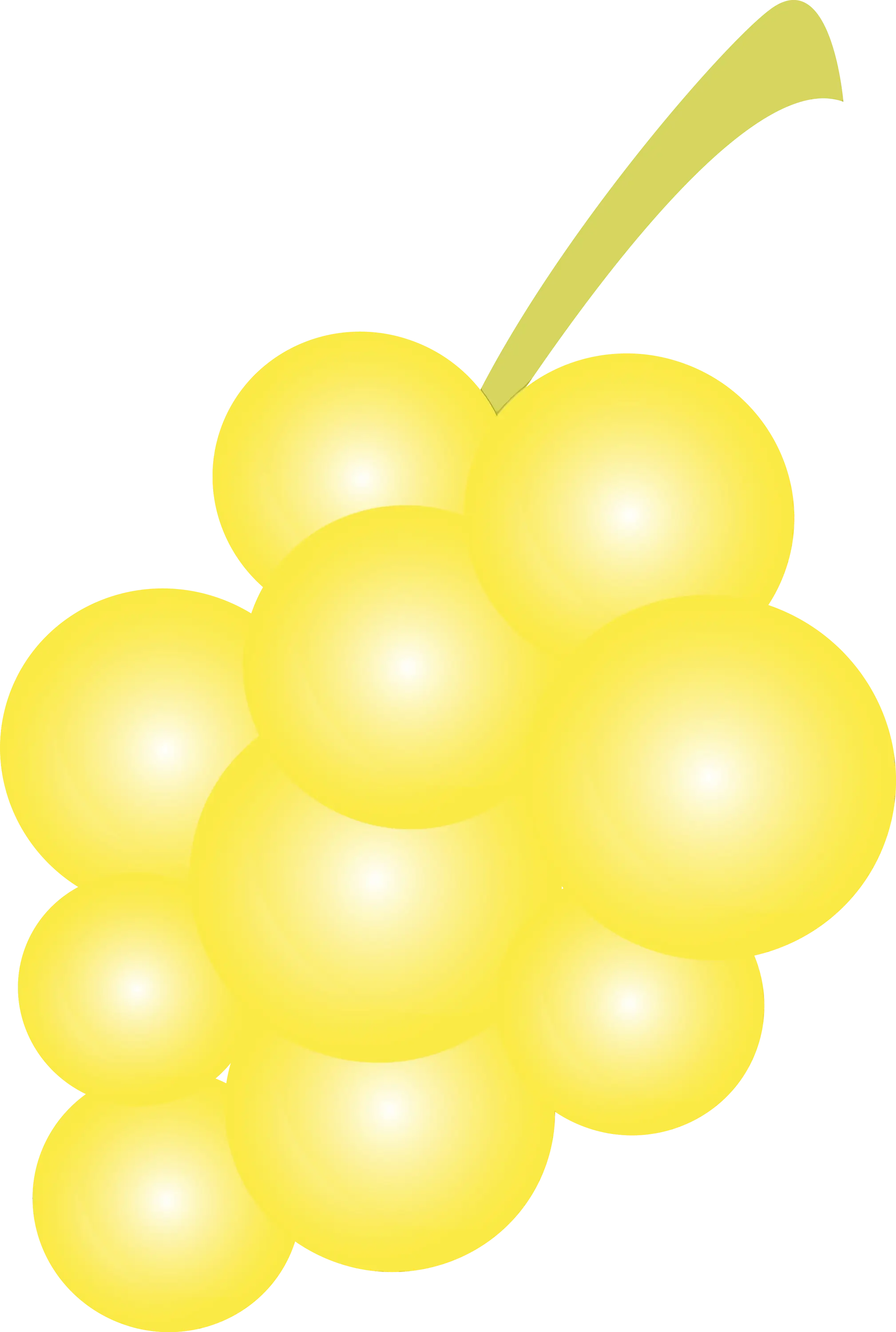 Yellow Grapes Bunch Illustration