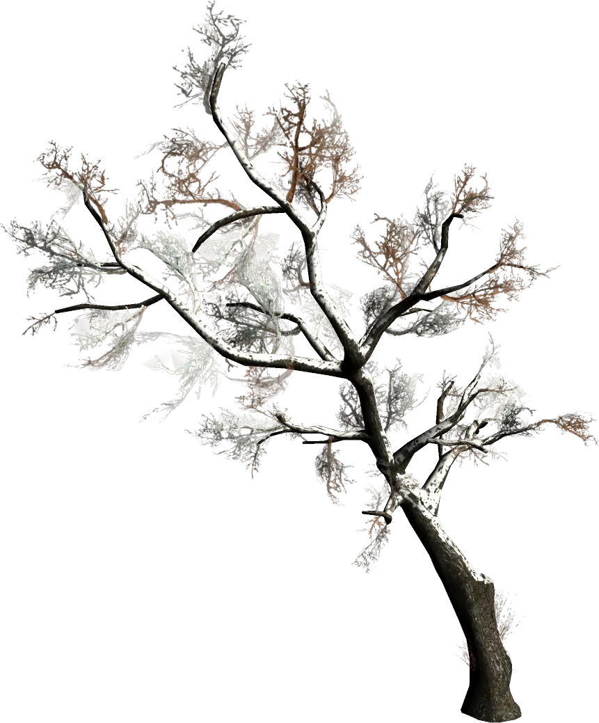 Snow-Covered Barren Tree Illustration