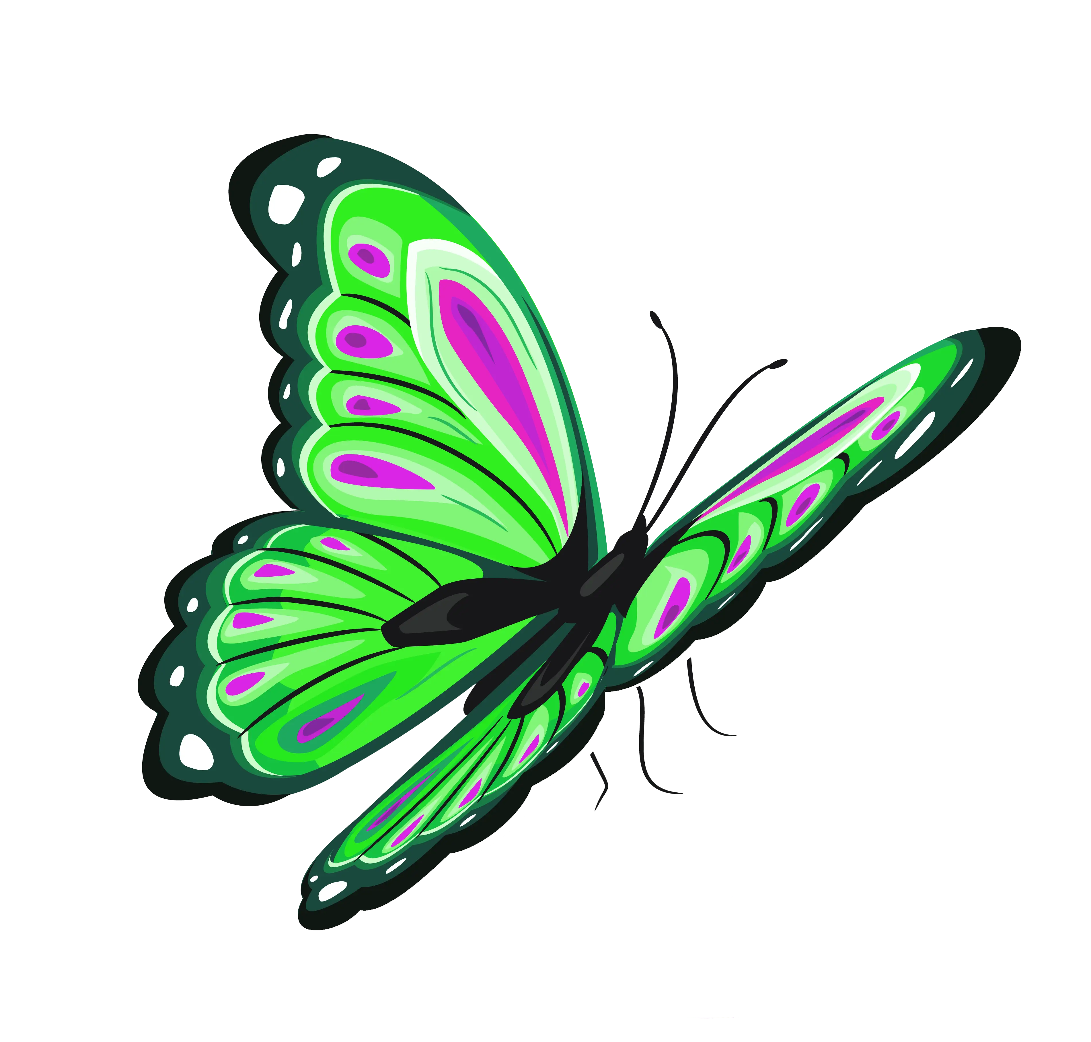 Green Butterfly with Purple Patterns