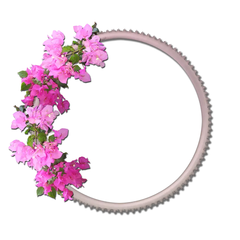 Floral Frame with Pink Flowers