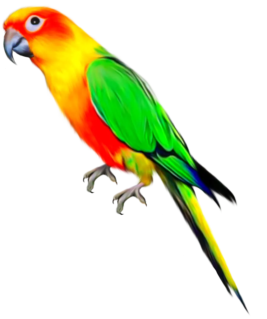 Brightly Colored Tropical Parrot Illustration