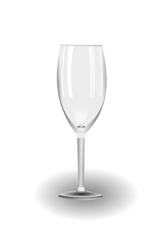 Elegant Transparent Champagne Glass