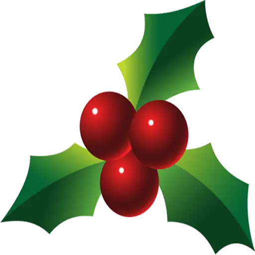 Holly Leaves and Berries for Christmas