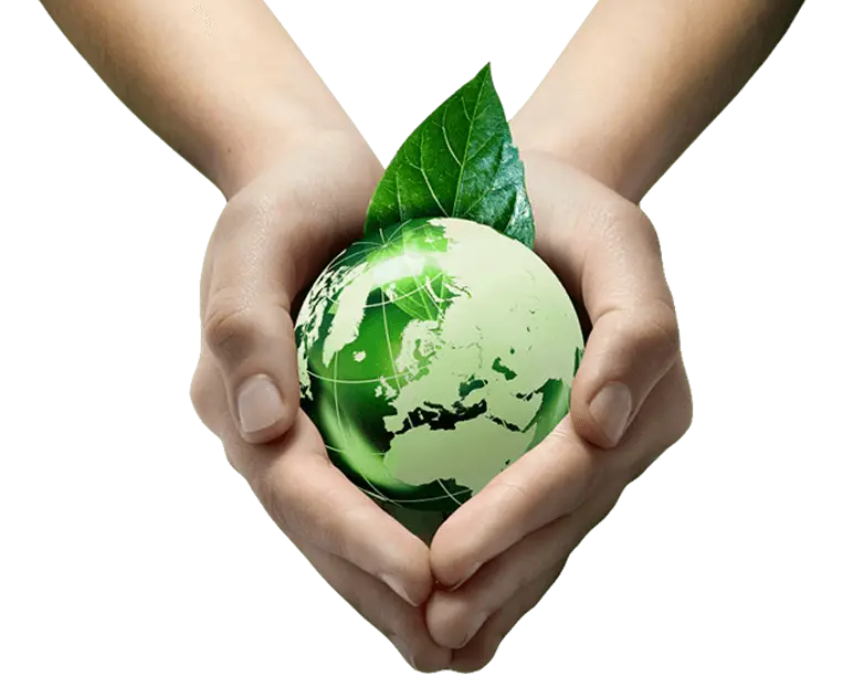Hands Holding Green Globe with Leaf for Sustainability