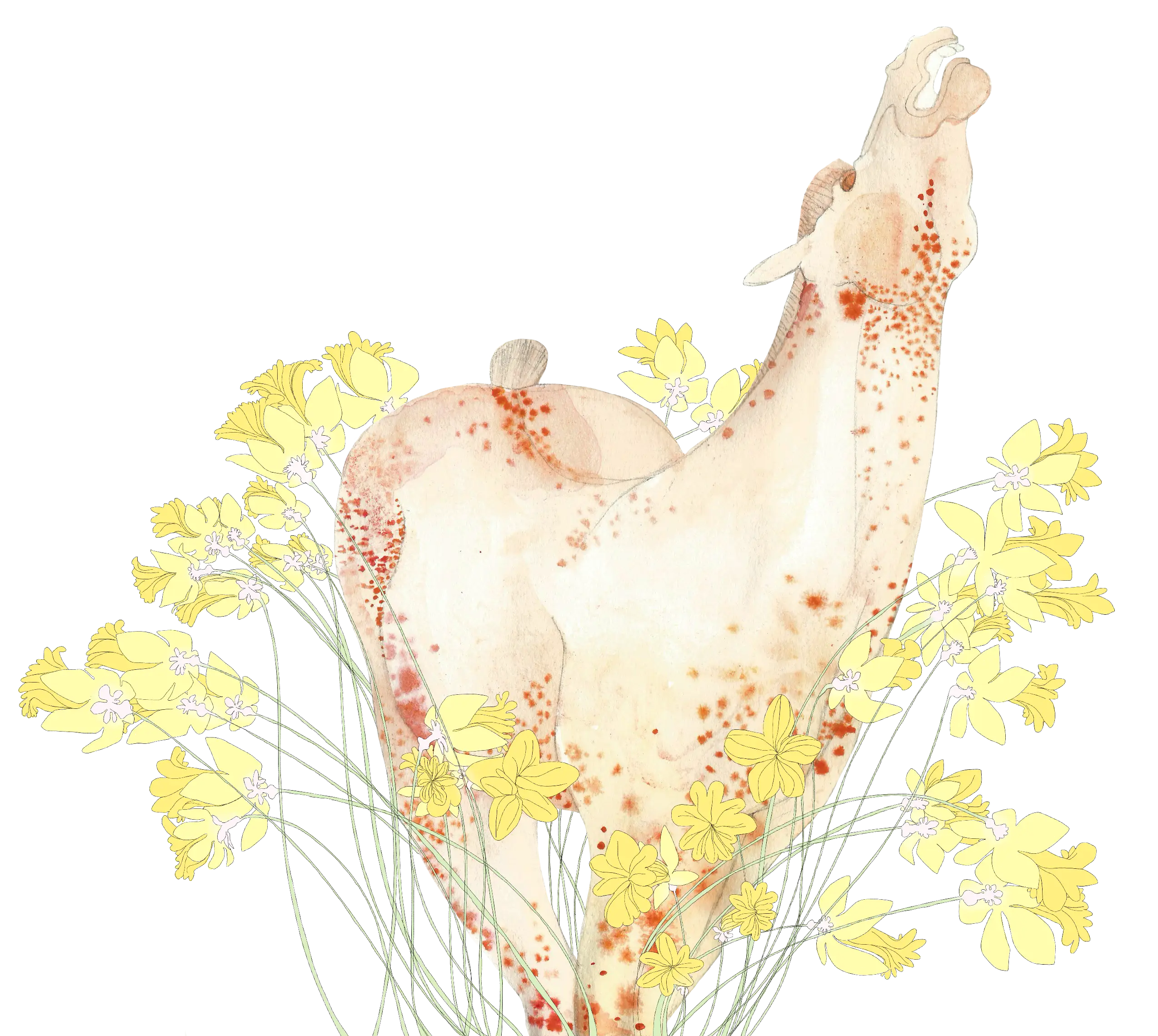 Giraffe Illustration with Floral Elements