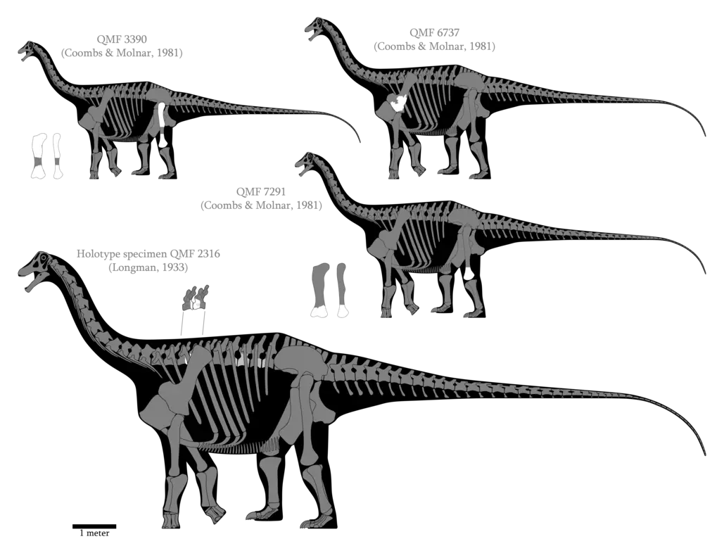 Dinosaur Skeleton Comparison Illustration
