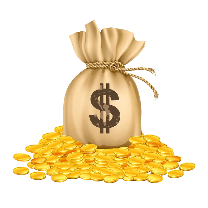 Money Bag with Gold Coins Illustration