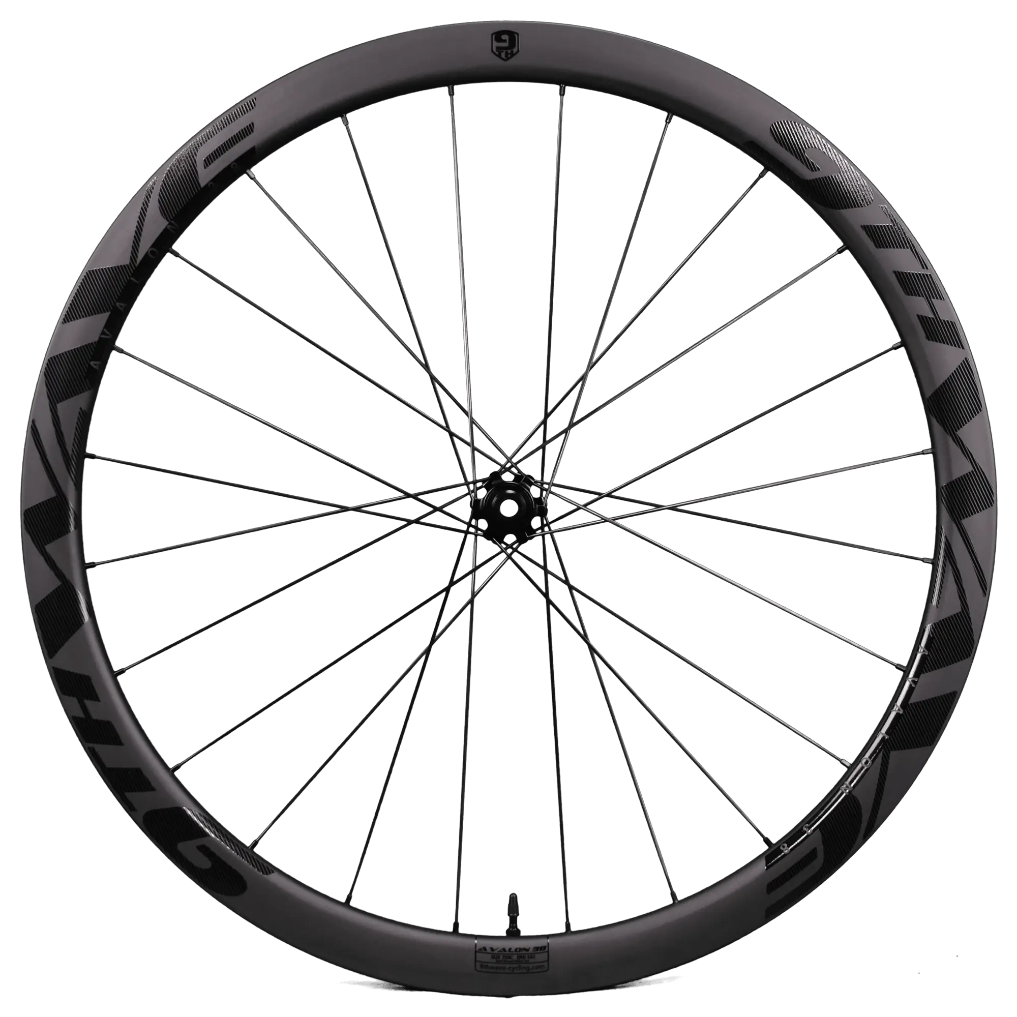 Bicycle Wheel with Spokes