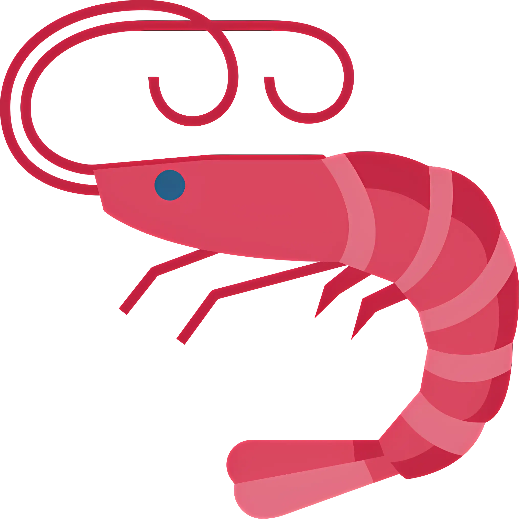 Red Shrimp Illustration
