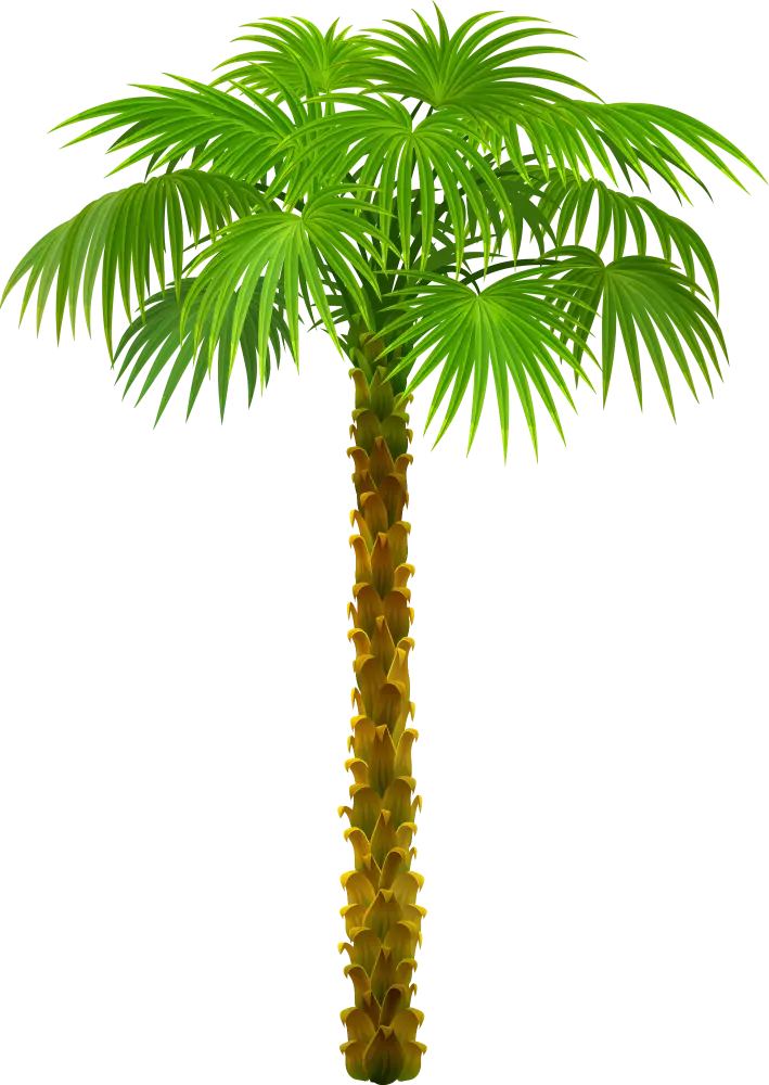 Tall Green Palm Tree Illustration