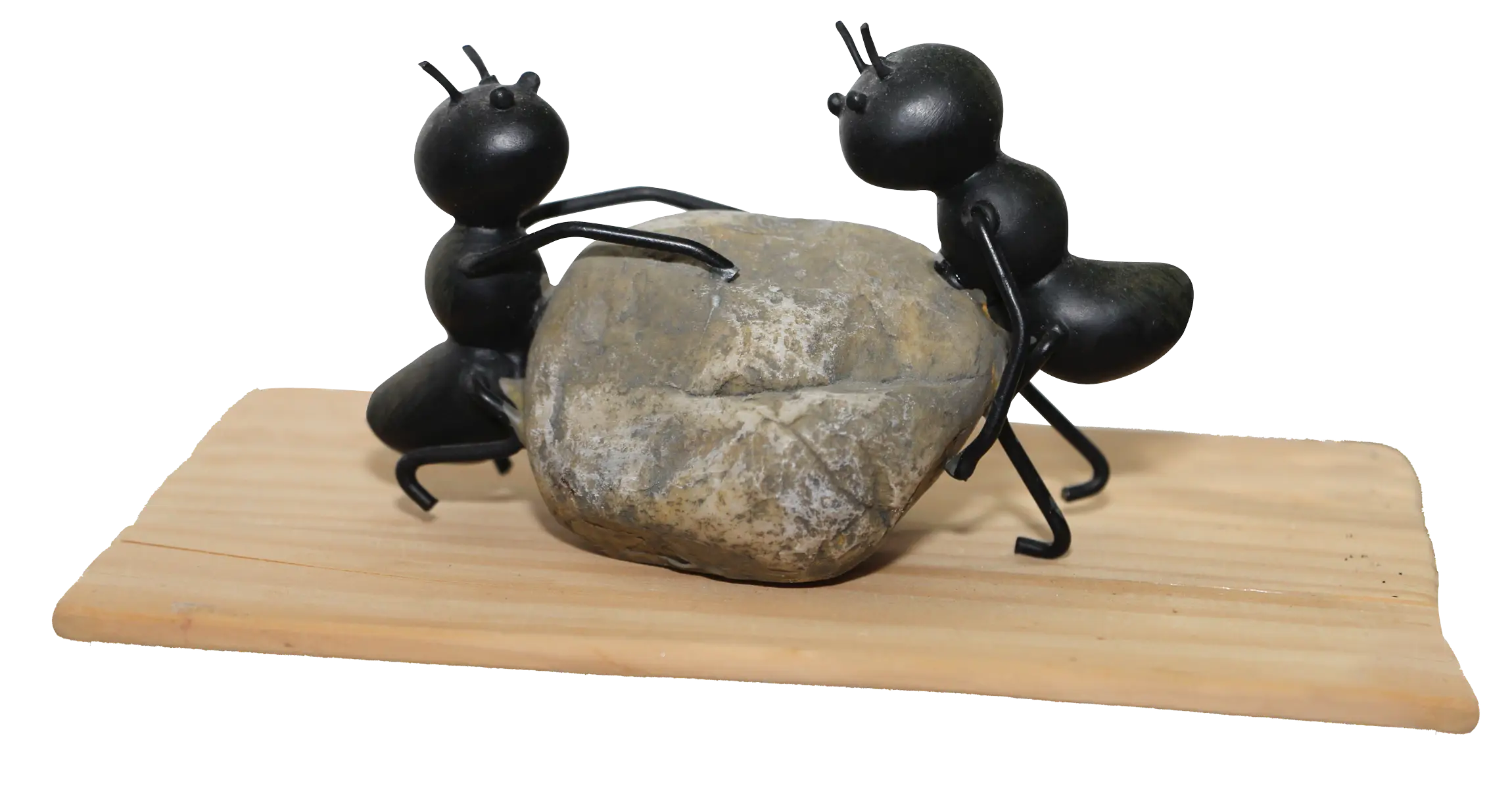 Ants Working Together