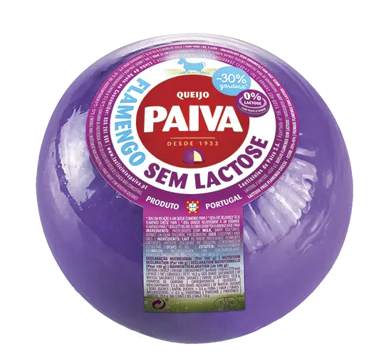 Lactose-Free Cheese from Portugal