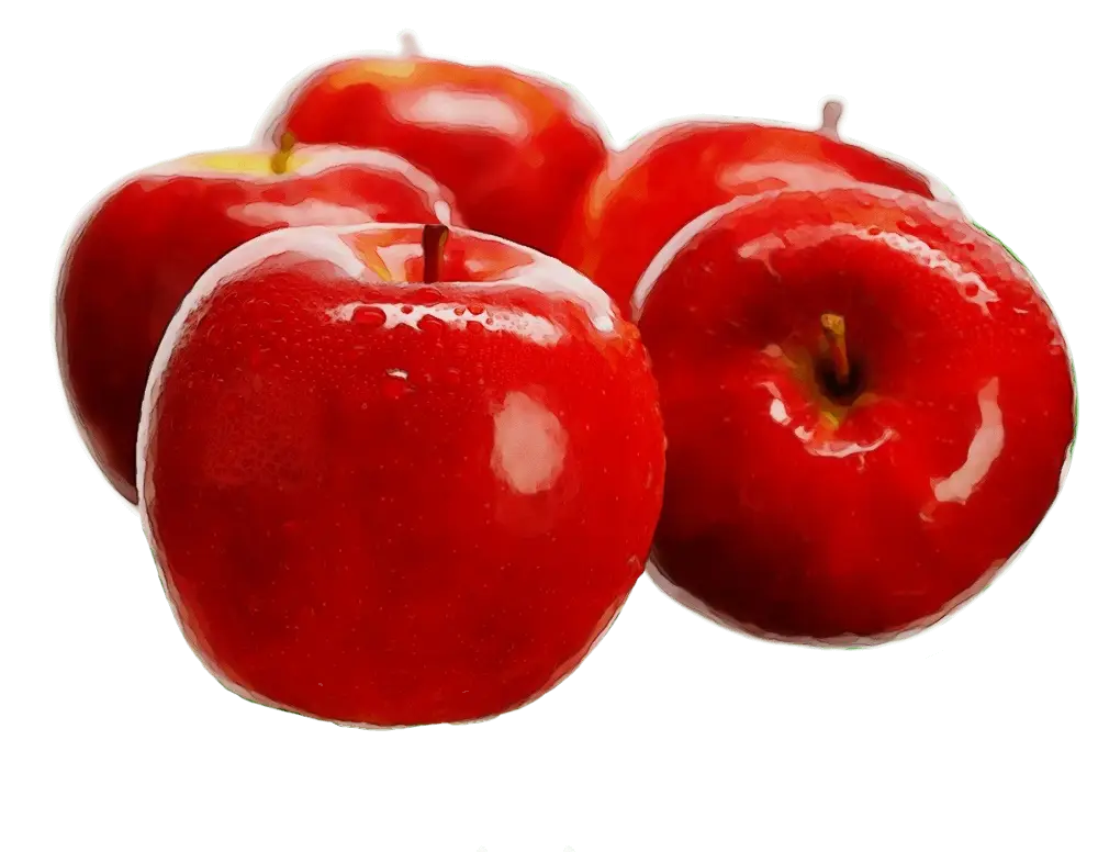 Ripe Red Apples Illustration