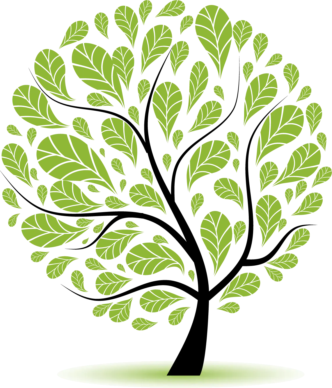 Green Tree with Large Leaves Illustration