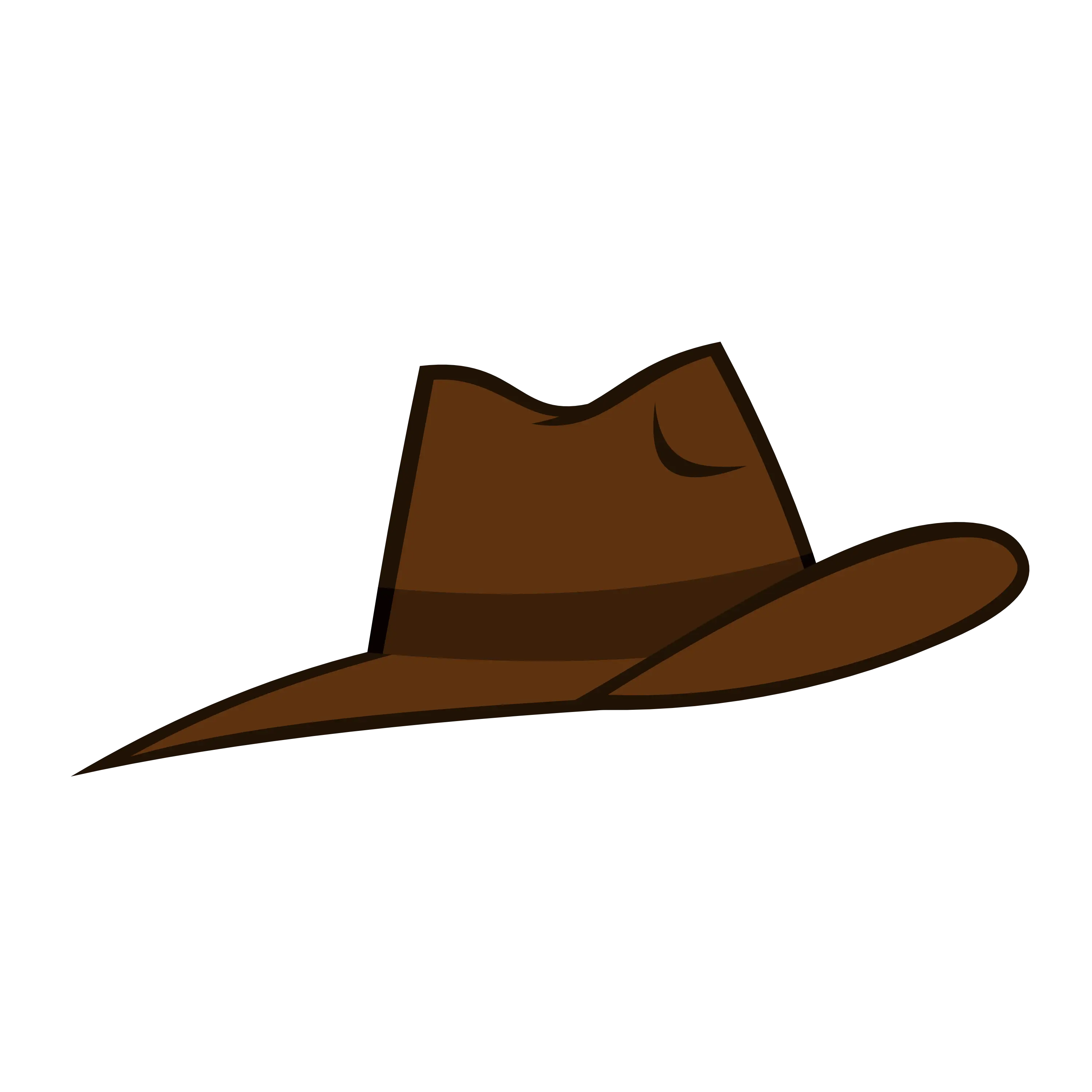 Brown hat
