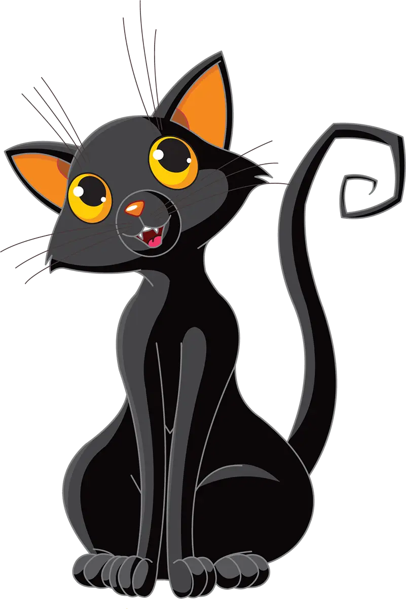 Cute Black Cat with Yellow Eyes