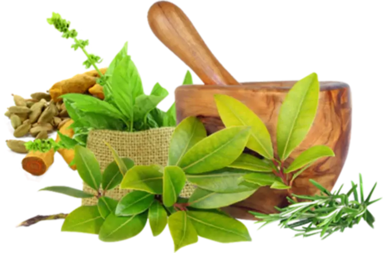 Wooden mortar with fresh herbs and spices