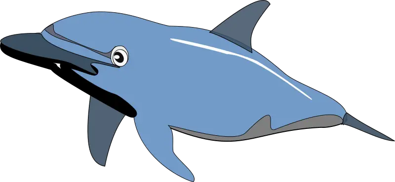 Blue Dolphin Cartoon Illustration