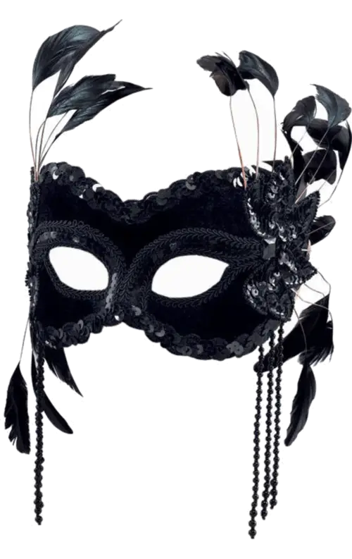 Black Mask with Feathers