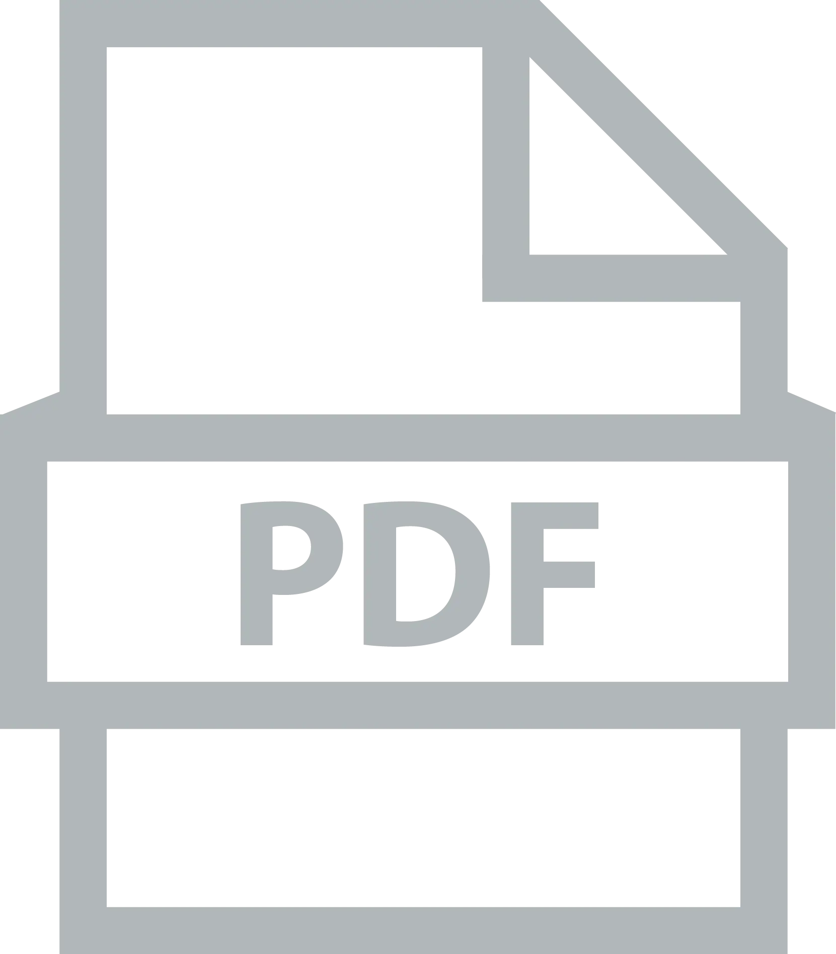 Grey PDF Document Icon