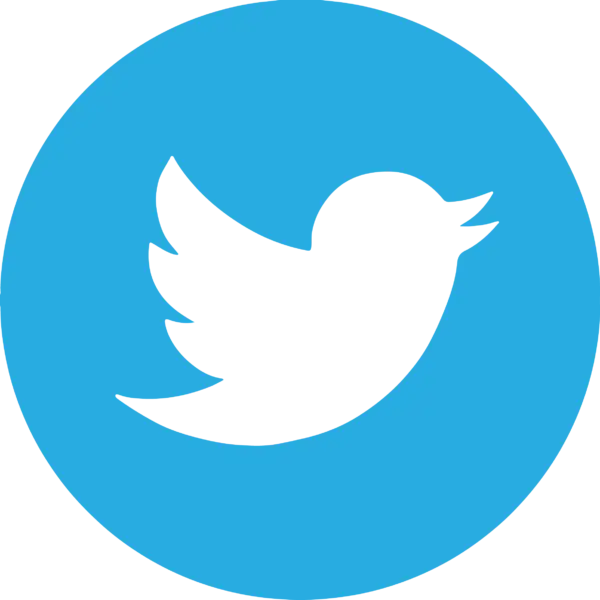 Twitter Logo Illustration