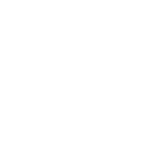 Intricate White Snowflake Design
