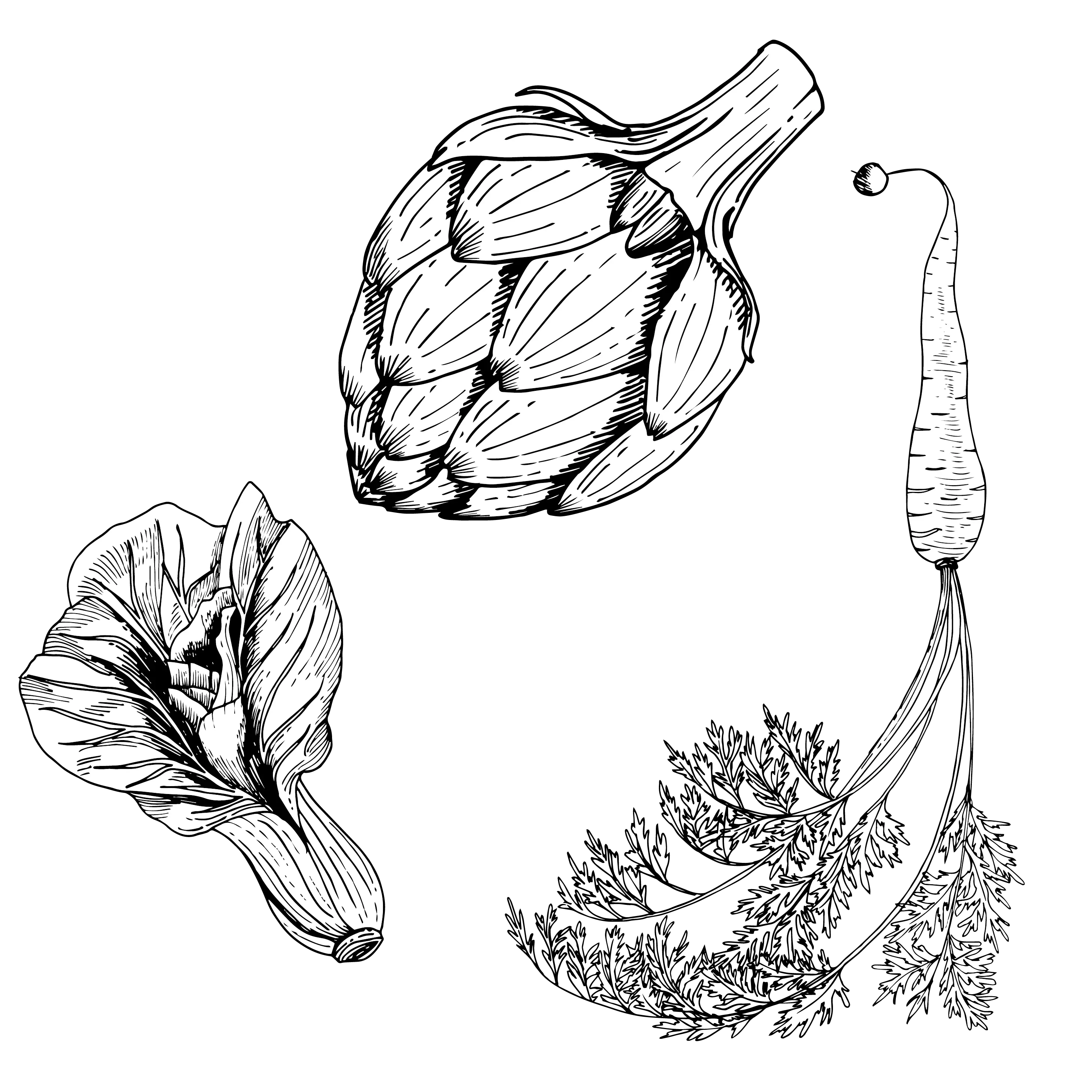 Black and White Drawings of Vegetables