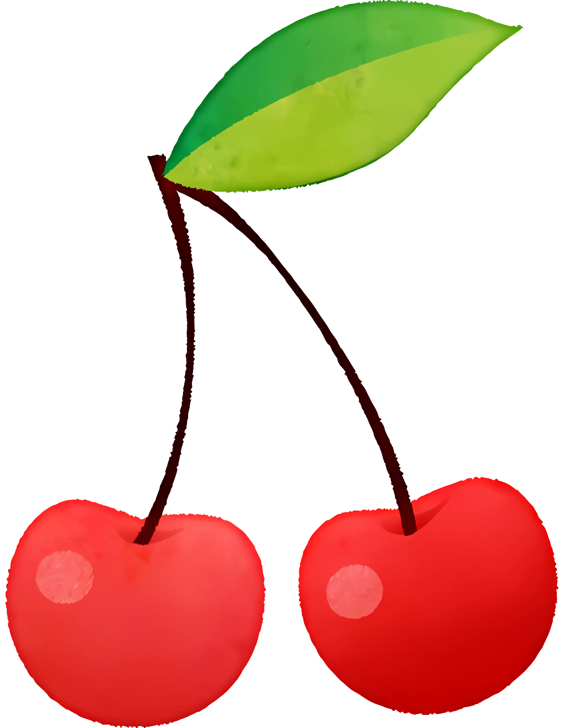 Red Cherries with Green Leaf