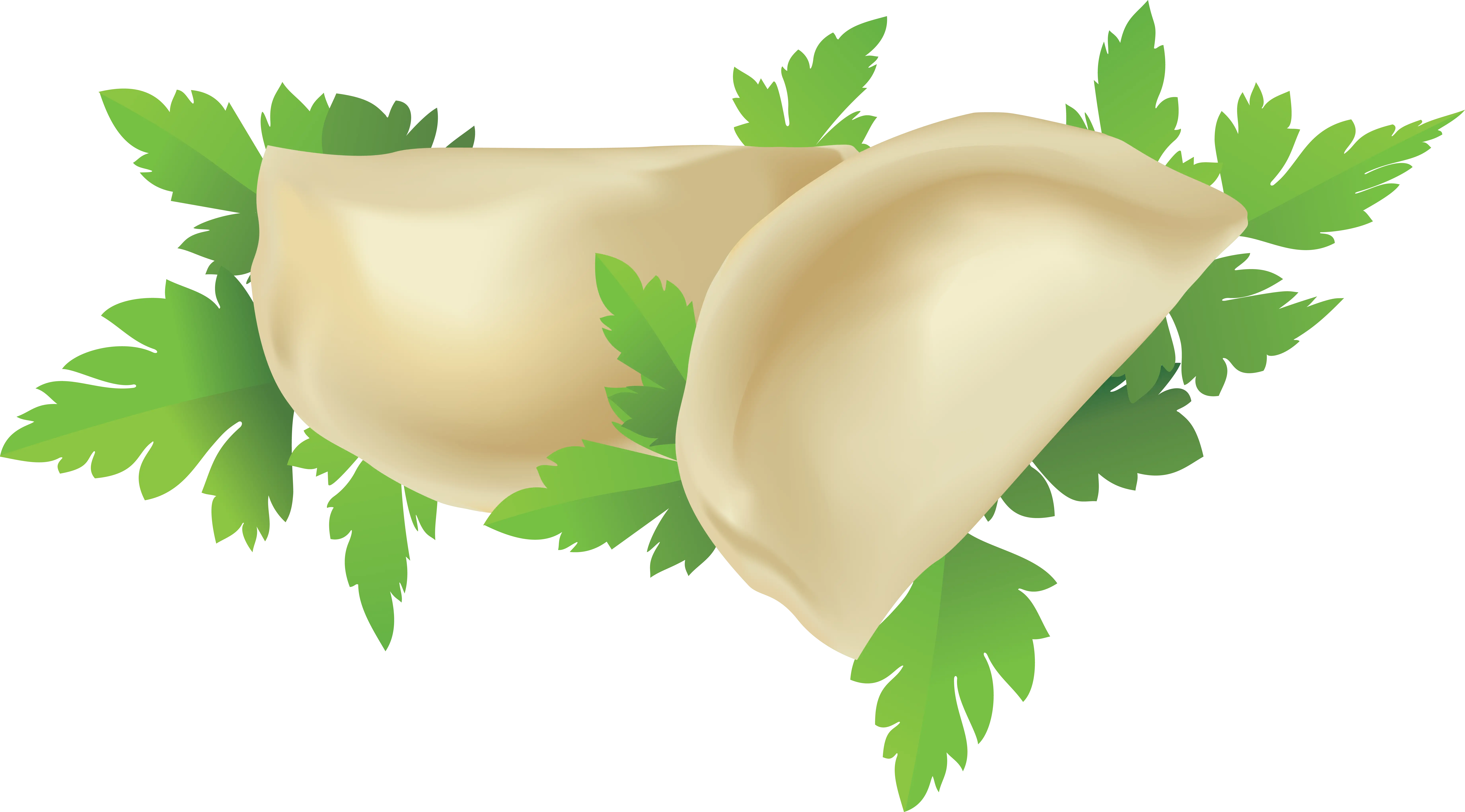 Dumplings with Parsley