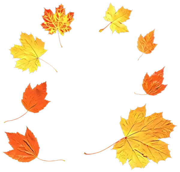Autumn Leaves Illustration with Yellow and Orange