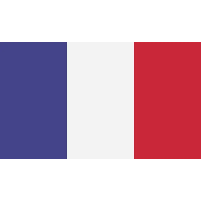 French National Flag with Tricolor Design