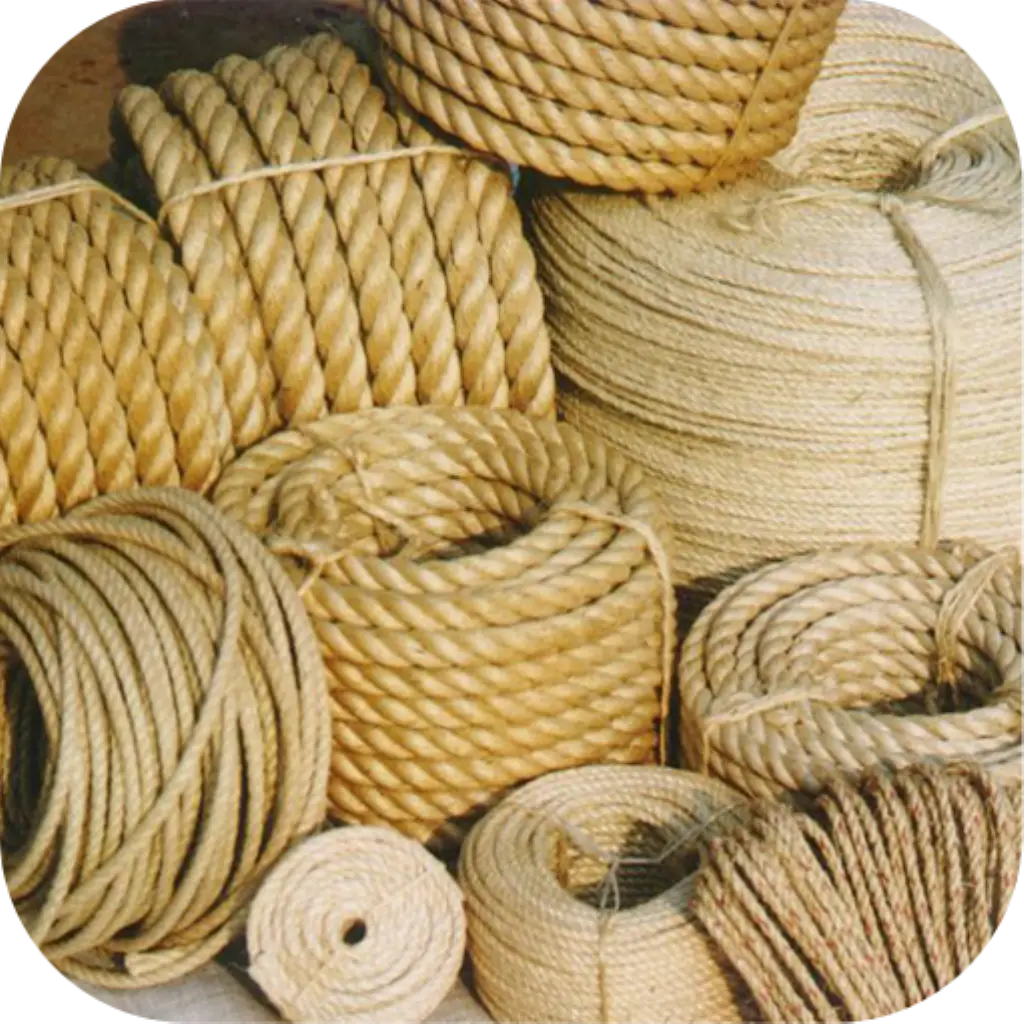 Various Coiled Ropes