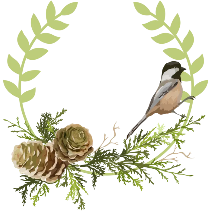 Bird with Pinecones and Greenery Illustration