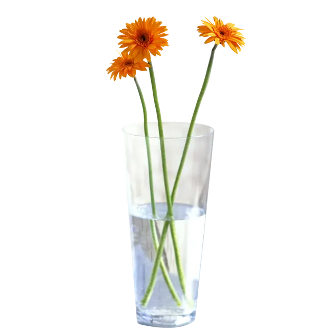 Orange Flowers in a Glass Vase