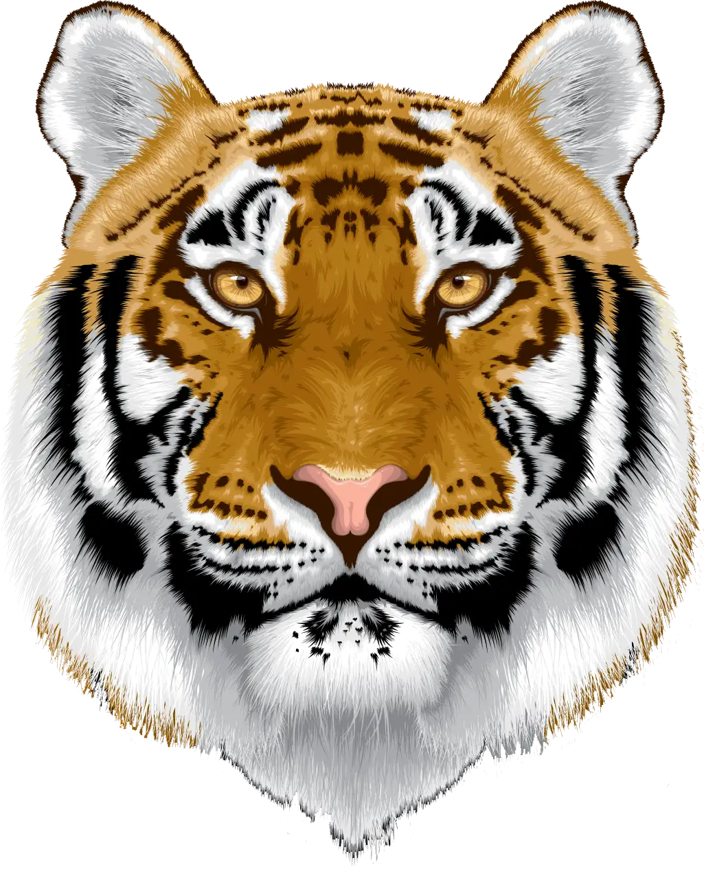Detailed Tiger Face Illustration