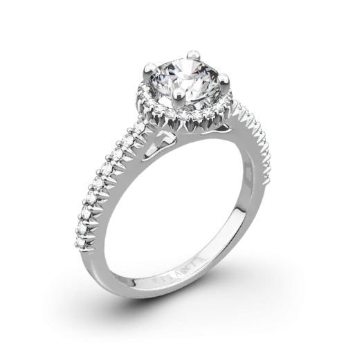 Diamond Engagement Ring with Silver Band