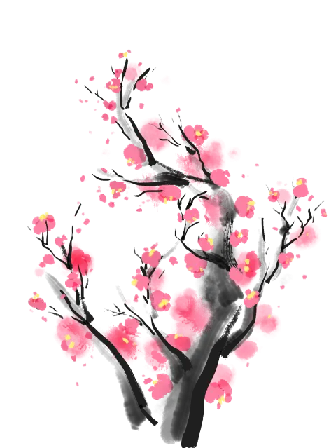 Pink Cherry Blossoms on Branch Illustration