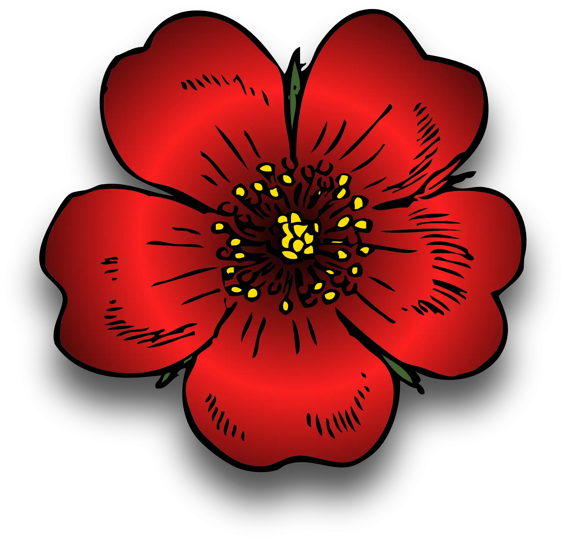 Simple Red Flower Illustration with Details