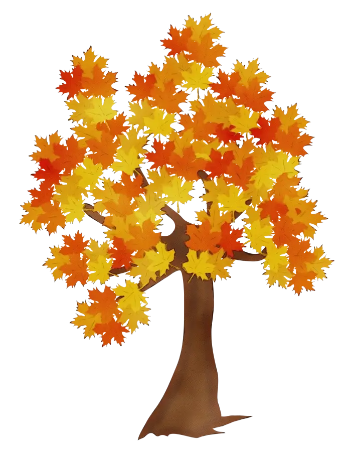 Autumn Tree with Yellow and Orange Leaves