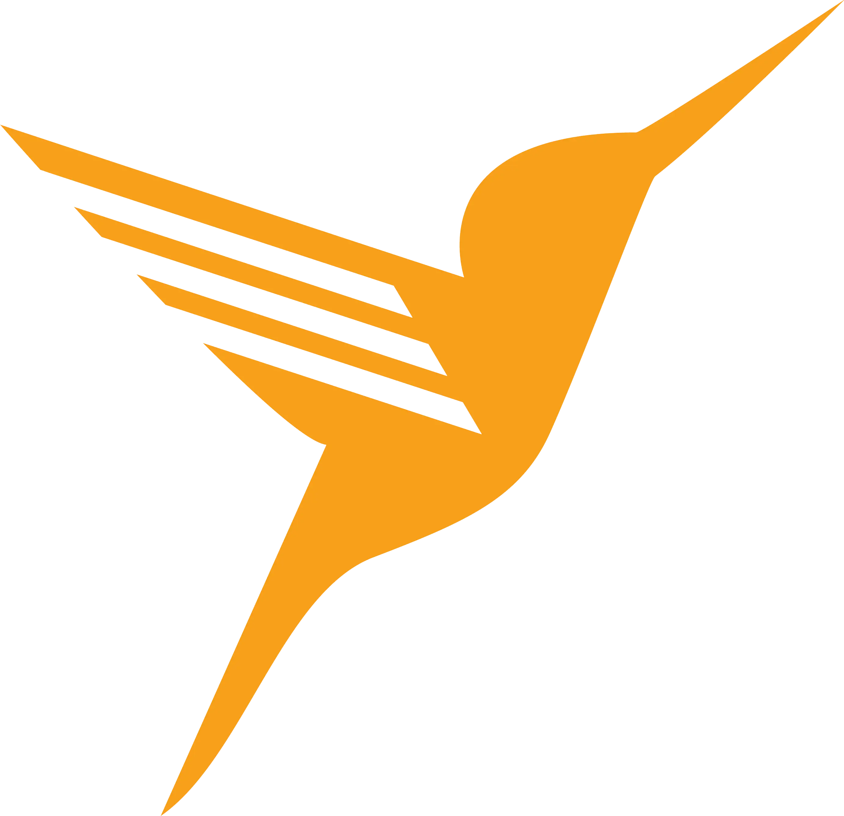 Orange Hummingbird Logo Design