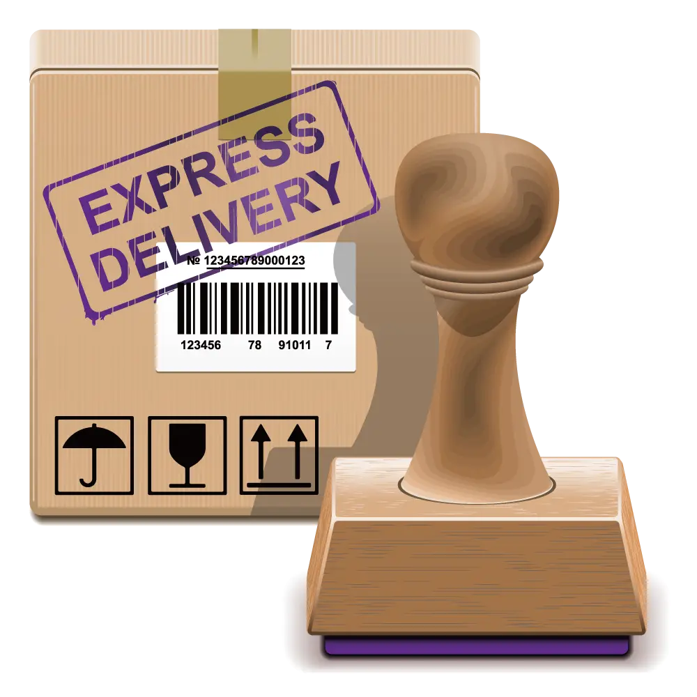 Express Delivery Service Package