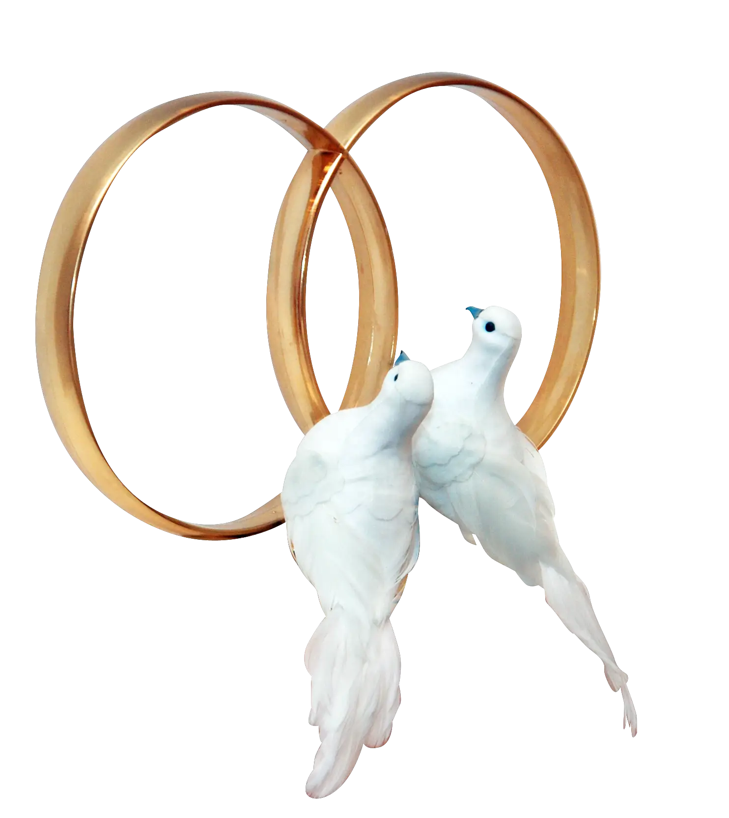 Wedding Rings and White Doves