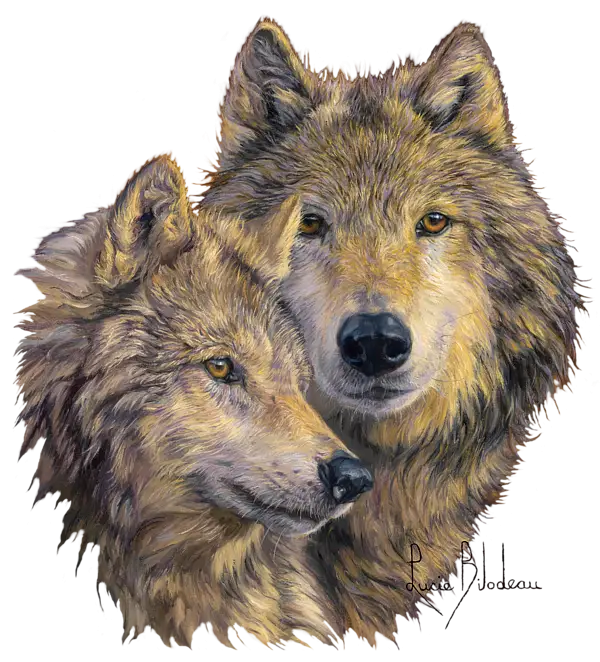Pair of Wolves