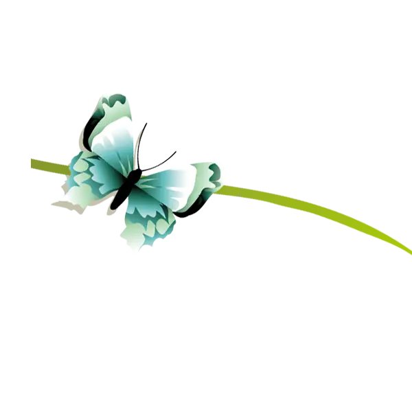 Green Butterfly Resting on a Branch