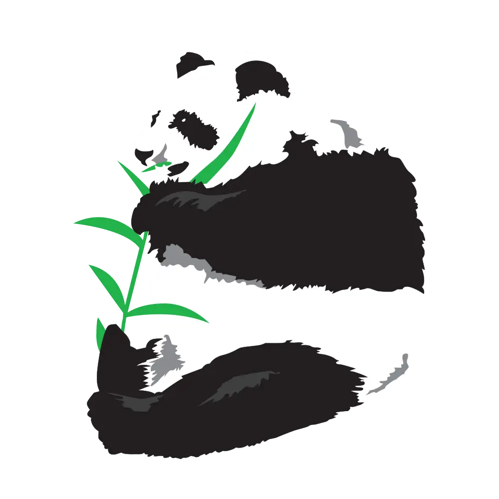Giant Panda Eating Bamboo Illustration